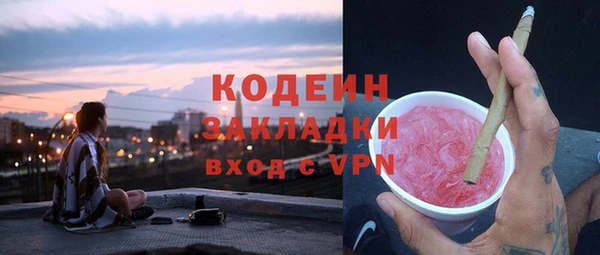 трава Белокуриха
