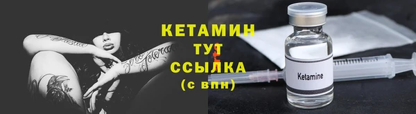 трава Белокуриха