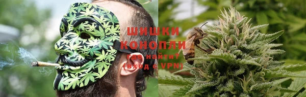 трава Белокуриха