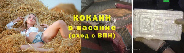 трава Белокуриха