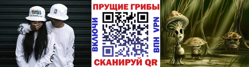 Галлюциногенные грибы Psilocybe  Купить закладки  Ясногорск 
